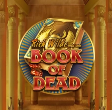 Alvynn Book of Dead Slot Spiel
